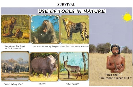 FORMS IN NATURE NO CAPTIONS