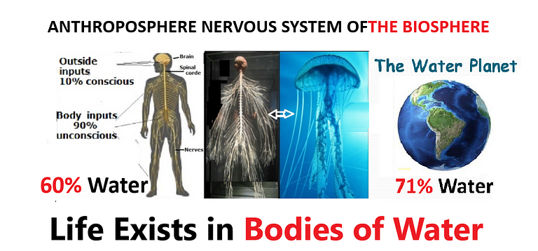 This image has an empty alt attribute; its file name is c9640-1iq3ub1ed-ifym69xsbhsma.png